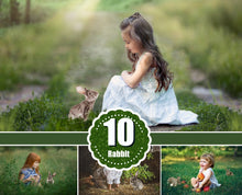 Load image into Gallery viewer, 10 different grey rabbit bunny animals Photo Overlays, Photoshop overlay, chicken, Easter, spring, summer portrait, kids, family photography