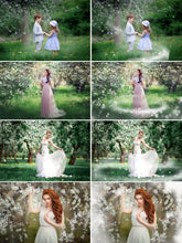 Load image into Gallery viewer, 35 White Blossom petals, spring summer orchard overlays, Photoshop overlay, Painted Photo frame, Dancing Rose Flower Falling Petals, png