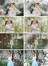 Load image into Gallery viewer, 35 Apple tree blossom spring summer white branch overlays, painted photo layer, Blur Photo for Photographers, falling petals, png