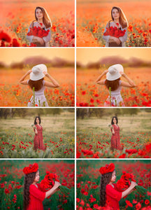 35 red poppies overlays, poppy photo overlay, summer flower field, Photoshop Digital Backgrounds, Digital Download, art painted flower png