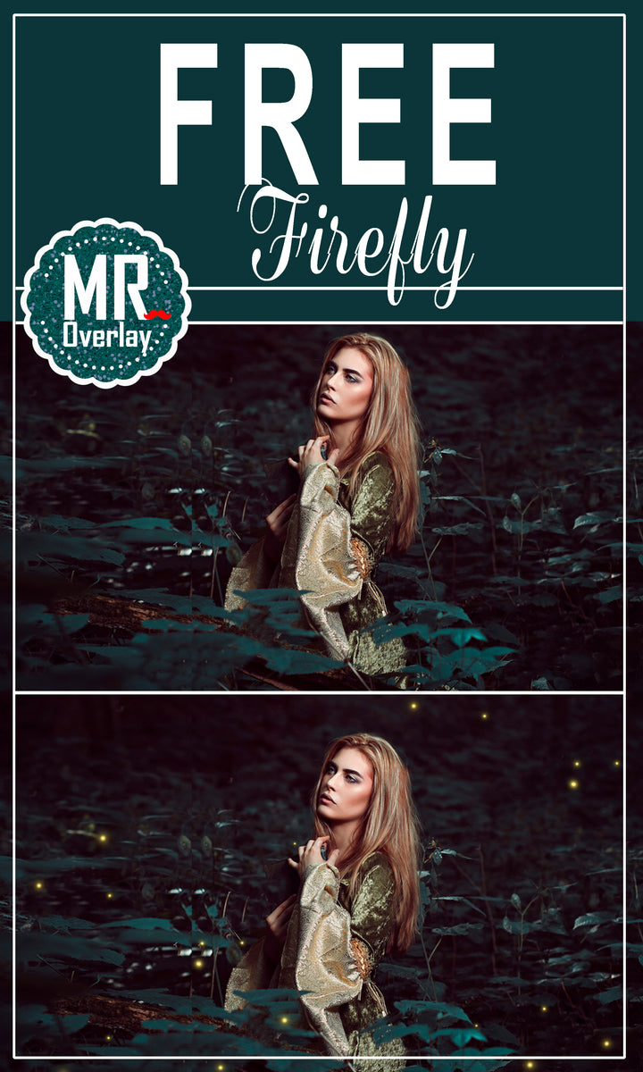 Free firefly fireflies Photo Overlays, overlay MR.Overlay