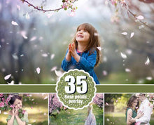 Load image into Gallery viewer, 35 falling pink white petals Photoshop overlays, wedding, spring, romantic, magic, сherry petals, apple blossom, png file