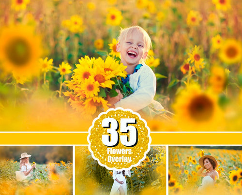 35 Sunflower Photo Overlays, flower summer spring overlays, digital backdrop, digital background, Photoshop Mix overlay, art frame, png file