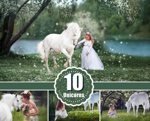 10 Majestic unicorn horse overlays, realistic animal, white horse, Photoshop overlay, fantasy, magic, fairy, star Digital Overlays, png