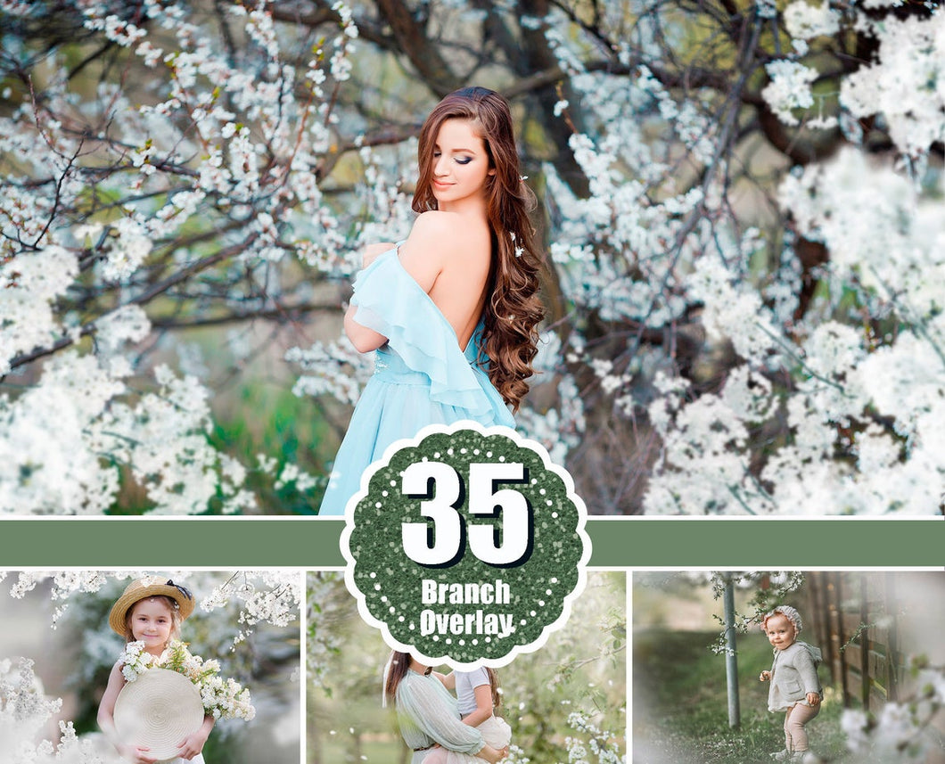 35 Apple tree blossom spring summer white branch overlays, painted photo layer, Blur Photo for Photographers, falling petals, png