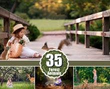 Load image into Gallery viewer, 35 different forest wild animals photo overlays squirrel, hedgehog, rabbit, woolf, fox, raccoon, reindeer, photoshop overlay, png