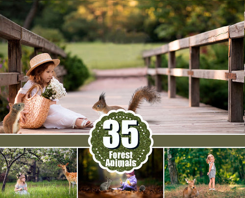 35 different forest wild animals photo overlays squirrel, hedgehog, rabbit, woolf, fox, raccoon, reindeer, photoshop overlay, png