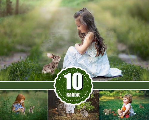 10 different grey rabbit bunny animals Photo Overlays, Photoshop overlay, chicken, Easter, spring, summer portrait, kids, family photography