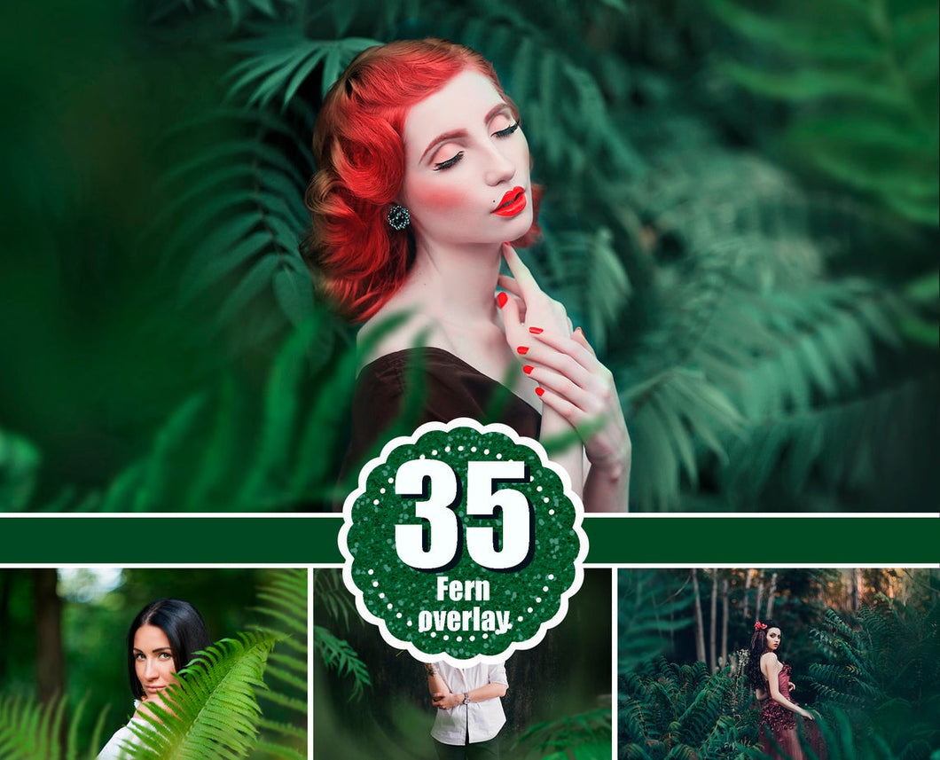 35 Fern Photo Overlays, shooting through branches, tree, green, forest, spring, summer Photoshop Mix, Photoshop Overlays, png