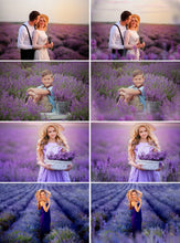 Load image into Gallery viewer, 35 Lavender photo overlays, flower summer spring overlays, Digital Backgrounds, shooting through, romantic natural effect, Fine Art, png
