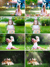 Load image into Gallery viewer, 150 Easter overlay Photoshop, light, branch, flower, chicks, bunnies, wordart, stamp, spring, butterfly, bubble, sun, summer, png