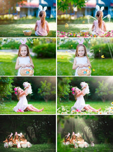 150 Easter overlay Photoshop, light, branch, flower, chicks, bunnies, wordart, stamp, spring, butterfly, bubble, sun, summer, png