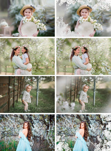35 Apple tree blossom spring summer white branch overlays, painted photo layer, Blur Photo for Photographers, falling petals, png