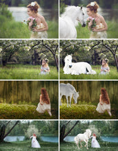 Load image into Gallery viewer, 10 Majestic unicorn horse overlays, realistic animal, white horse, Photoshop overlay, fantasy, magic, fairy, star Digital Overlays, png