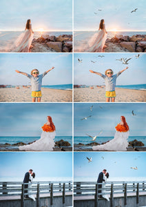 25 Birds seagull Photoshop Mix overlays, realistic natural flying Seagull photo layer, animals overlay, png file