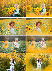 35 Sunflower Photo Overlays, flower summer spring overlays, digital backdrop, digital background, Photoshop Mix overlay, art frame, png file
