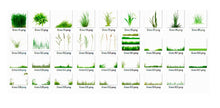 Load image into Gallery viewer, 35 Grass Photo Overlays, Photography Overlays, Photo Prop, green summer magic fairy, Shooting through the grass, png file