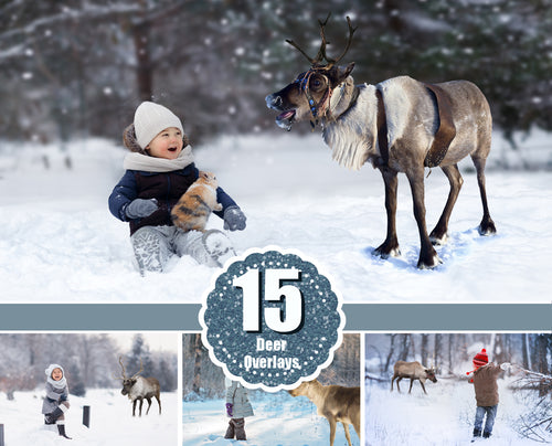 15 Deer Reindeer Photoshop overlays, forest wild animals photo, Digital files, Christmas winter holiday overlay, Santa’s Reindeer, png