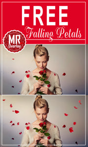 FREE falling Petals Photo Overlays, Photoshop overlay