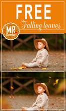 Load image into Gallery viewer, FREE falling leaves Photo Overlays, Photoshop overlay