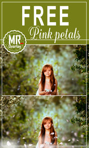 FREE pink white falling petals Photoshop overlays