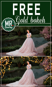 FREE gold bokeh light Photo Overlays, Photoshop overlay