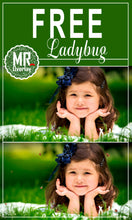 Load image into Gallery viewer, Free ladybug Photo Overlays, Photoshop overlay