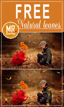 Load image into Gallery viewer, FREE autumn falling leaves Photo Overlays, Photoshop overlay