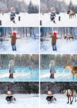 Load image into Gallery viewer, 15 Deer Reindeer Photoshop overlays, forest wild animals photo, Digital files, Christmas winter holiday overlay, Santa’s Reindeer, png