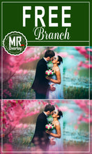 Load image into Gallery viewer, FREE branch tree Photo Overlays, Photoshop overlay