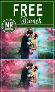 FREE branch tree Photo Overlays, Photoshop overlay