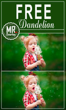 Load image into Gallery viewer, FREE dandelion flower Photo Overlays, Photoshop overlay