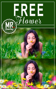FREE flower Photo Overlays, Photoshop overlay