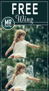 FREE angel butterfly magic wings Photo Overlays, Photoshop overlay