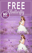 Load image into Gallery viewer, FREE butterfly Photo Overlays, Photoshop overlay