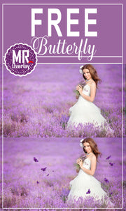 FREE butterfly Photo Overlays, Photoshop overlay