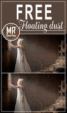 Load image into Gallery viewer, FREE floating dust effect Photo Overlays, Photoshop overlay