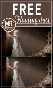 FREE floating dust effect Photo Overlays, Photoshop overlay