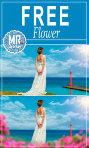 FREE flower Photo Overlay, Photoshop overlays