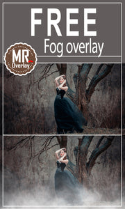 FREE fog Photo Overlays, Photoshop overlay