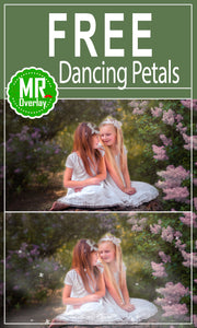 FREE dancing Petals Photo Overlays, Photoshop overlay