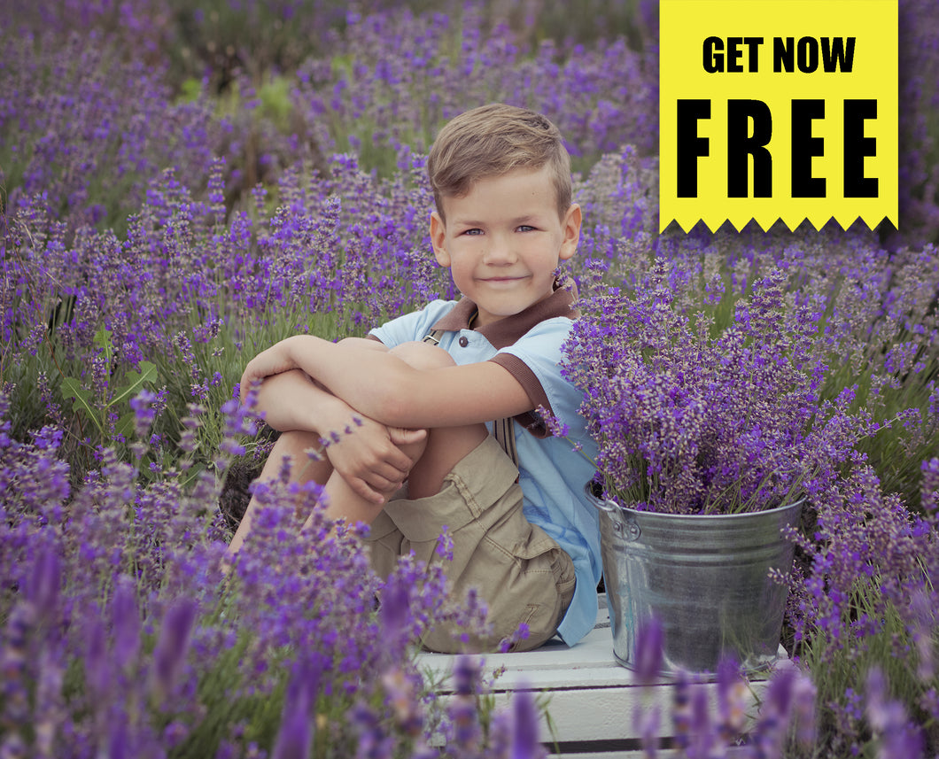 FREE lavender Photo Overlay, Photoshop overlays