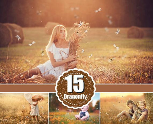 15 Dragonfly butterfly photo photography Overlays, Photoshop overlay, photo effects, magic overlays, summer spring overlays, png file