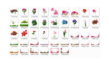 Load image into Gallery viewer, 35 Flower rose Photo Overlays Photography Overlays for Photoshop, INSTANT DOWNLOAD, Photography Textures, png file