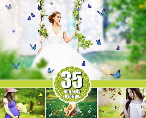35 Butterfly Photo Overlays, Photography Overlays for Photoshop, Spring summer nature real, Flying butterfly, png file