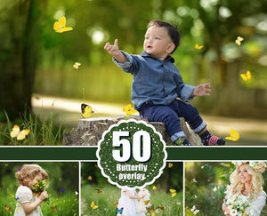 50 Butterfly Photo Overlays, Realistic Natural flying butterflies Photo layer, Professional Photoshop effect, Photoshop overlay, png file