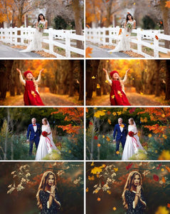 60 falling leaves Photo Overlays, Photography Overlays, Autumn Overlays, Falling Leaves Photo Effect, realistic effect, png file
