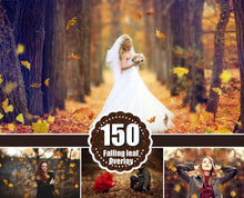 Load image into Gallery viewer, 150 falling leaves Photo Overlays, Photoshop Overlays, Autumn Overlays, Falling Leaves Photo Effect, realistic Autumn, png file