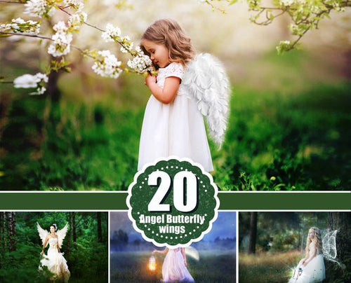 Angel butterfly Wings Photo Overlays, Photoshop Overlay, Photography Photo Prop, magic fairy fantasy wight wing, png file