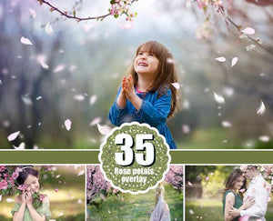 35 falling pink white petals Photoshop overlays, wedding, spring, romantic, magic, сherry petals, apple blossom, png file